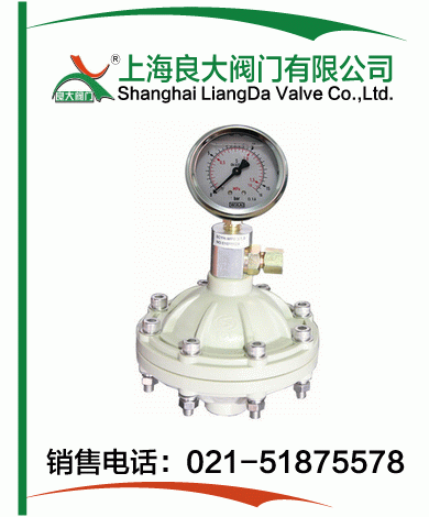 PP、PVDF脈沖阻尼器